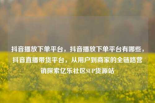 抖音播放下单平台，抖音播放下单平台有哪些，抖音直播带货平台，从用户到商家的全链路营销探索亿乐社区SUP货源站  第1张
