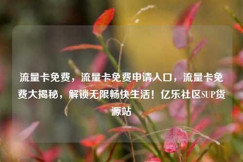 流量卡免费，流量卡免费申请入口，流量卡免费大揭秘，解锁无限畅快生活！亿乐社区SUP货源站  第1张