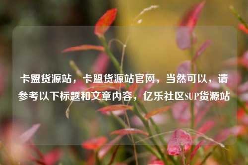 卡盟货源站，卡盟货源站官网，当然可以，请参考以下标题和文章内容，亿乐社区SUP货源站  第1张