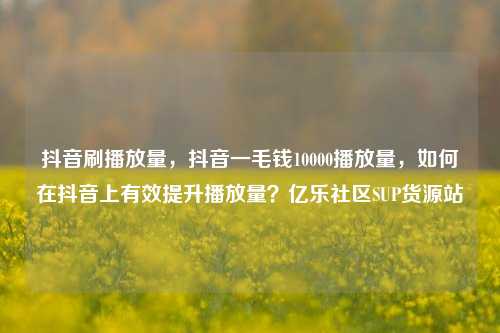 抖音刷播放量，抖音一毛钱10000播放量，如何在抖音上有效提升播放量？亿乐社区SUP货源站  第1张