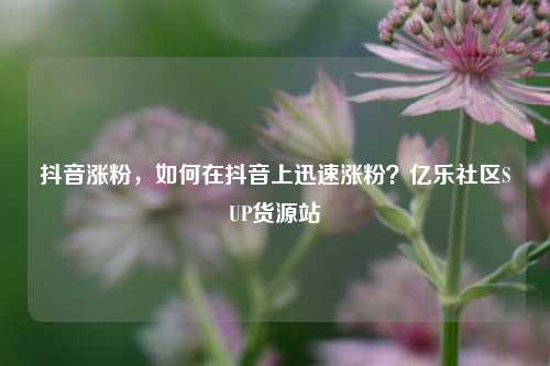 抖音涨粉，如何在抖音上迅速涨粉？亿乐社区SUP货源站  第1张