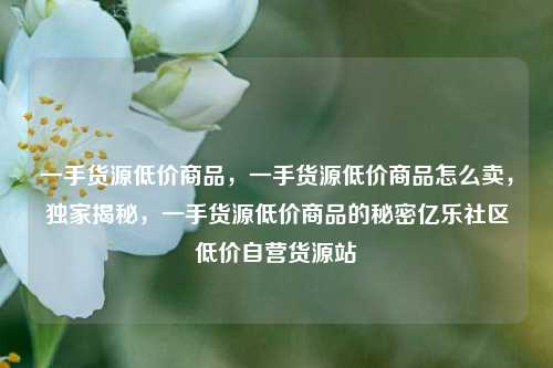 一手货源低价商品，一手货源低价商品怎么卖，独家揭秘	，一手货源低价商品的秘密亿乐社区低价自营货源站  第1张