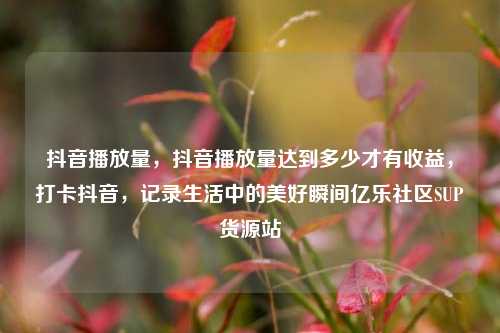 抖音播放量	，抖音播放量达到多少才有收益，打卡抖音，记录生活中的美好瞬间亿乐社区SUP货源站  第1张