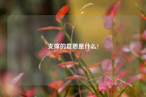 支撑的意思是什么?  第1张