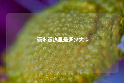 1碗米饭热量是多少大卡  第1张