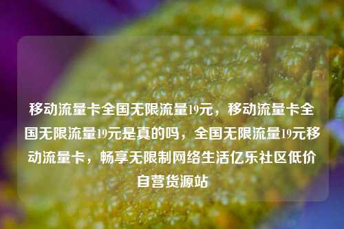移动流量卡全国无限流量19元	，移动流量卡全国无限流量19元是真的吗，全国无限流量19元移动流量卡，畅享无限制网络生活亿乐社区低价自营货源站  第1张