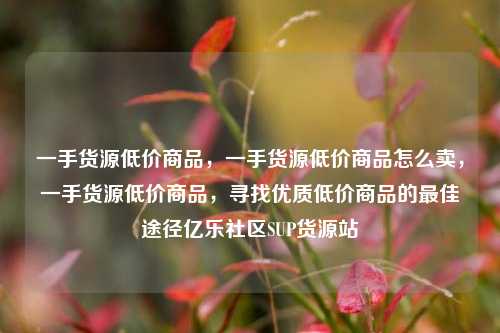 一手货源低价商品，一手货源低价商品怎么卖	，一手货源低价商品，寻找优质低价商品的最佳途径亿乐社区SUP货源站  第1张