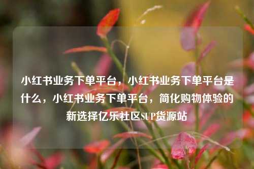 小红书业务下单平台	，小红书业务下单平台是什么，小红书业务下单平台，简化购物体验的新选择亿乐社区SUP货源站  第1张