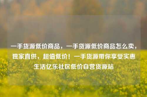一手货源低价商品，一手货源低价商品怎么卖	，独家直供，超值低价！一手货源带你享受实惠生活亿乐社区低价自营货源站  第1张