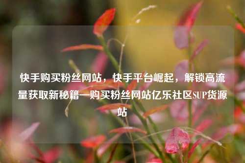 快手购买粉丝网站，快手平台崛起	，解锁高流量获取新秘籍—购买粉丝网站亿乐社区SUP货源站  第1张