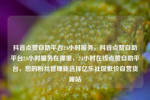 抖音点赞自助平台24小时服务	，抖音点赞自助平台24小时服务在哪里，24小时在线点赞自助平台，您的粉丝管理新选择亿乐社区低价自营货源站  第1张