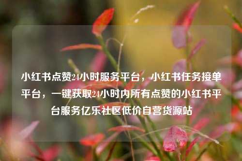 小红书点赞24小时服务平台	，小红书任务接单平台，一键获取24小时内所有点赞的小红书平台服务亿乐社区低价自营货源站  第1张