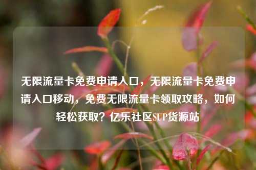 无限流量卡免费申请入口，无限流量卡免费申请入口移动	，免费无限流量卡领取攻略，如何轻松获取？亿乐社区SUP货源站  第1张