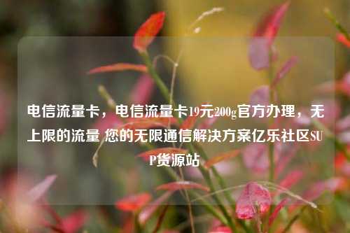 电信流量卡	，电信流量卡19元200g官方办理，无上限的流量 您的无限通信解决方案亿乐社区SUP货源站  第1张