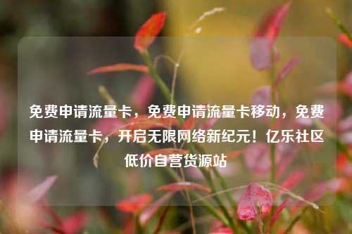 免费申请流量卡，免费申请流量卡移动	，免费申请流量卡，开启无限网络新纪元！亿乐社区低价自营货源站  第1张