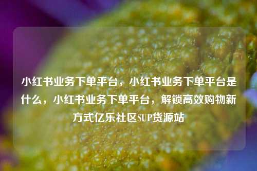 小红书业务下单平台，小红书业务下单平台是什么，小红书业务下单平台，解锁高效购物新方式亿乐社区SUP货源站  第1张