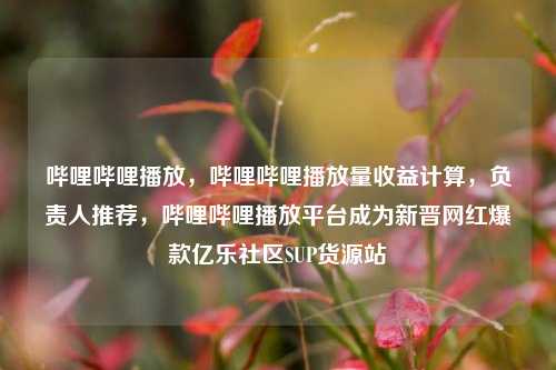 哔哩哔哩播放	，哔哩哔哩播放量收益计算，负责人推荐，哔哩哔哩播放平台成为新晋网红爆款亿乐社区SUP货源站  第1张