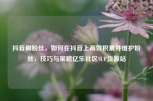 抖音刷粉丝，如何在抖音上高效积累并维护粉丝	，技巧与策略亿乐社区SUP货源站  第1张