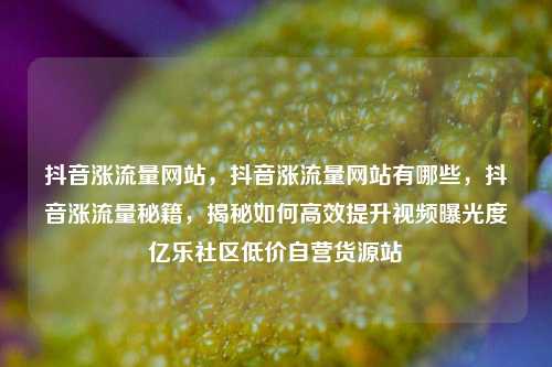 抖音涨流量网站，抖音涨流量网站有哪些	，抖音涨流量秘籍，揭秘如何高效提升视频曝光度亿乐社区低价自营货源站  第1张