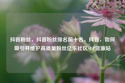 抖音粉丝，抖音粉丝排名前十名	，抖音，如何吸引并维护高质量粉丝亿乐社区SUP货源站  第1张