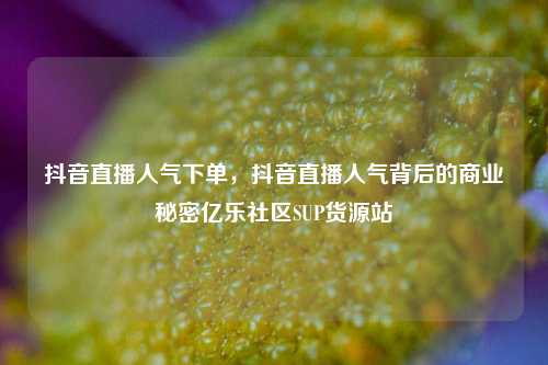 抖音直播人气下单，抖音直播人气背后的商业秘密亿乐社区SUP货源站  第1张