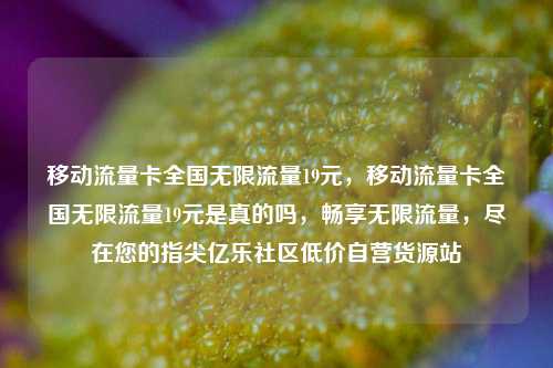 移动流量卡全国无限流量19元	，移动流量卡全国无限流量19元是真的吗，畅享无限流量，尽在您的指尖亿乐社区低价自营货源站  第1张