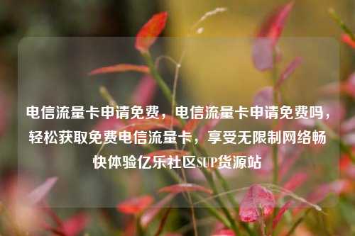 电信流量卡申请免费，电信流量卡申请免费吗	，轻松获取免费电信流量卡，享受无限制网络畅快体验亿乐社区SUP货源站  第1张