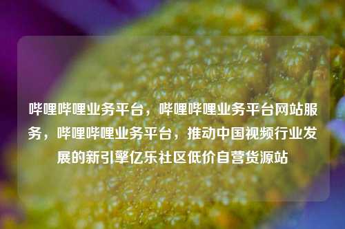 哔哩哔哩业务平台，哔哩哔哩业务平台网站服务	，哔哩哔哩业务平台，推动中国视频行业发展的新引擎亿乐社区低价自营货源站  第1张