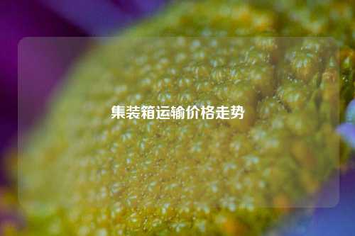 集装箱运输价格走势  第1张