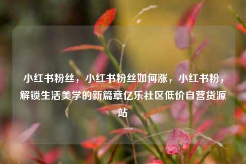 小红书粉丝	，小红书粉丝如何涨，小红书粉，解锁生活美学的新篇章亿乐社区低价自营货源站  第1张