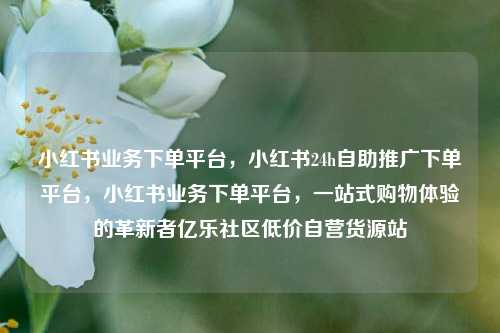 小红书业务下单平台，小红书24h自助推广下单平台，小红书业务下单平台，一站式购物体验的革新者亿乐社区低价自营货源站  第1张