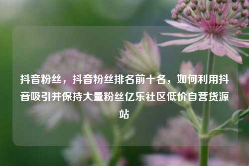 抖音粉丝，抖音粉丝排名前十名	，如何利用抖音吸引并保持大量粉丝亿乐社区低价自营货源站  第1张