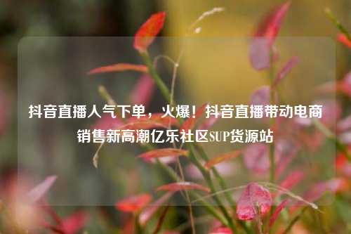 抖音直播人气下单	，火爆！抖音直播带动电商销售新高潮亿乐社区SUP货源站  第1张