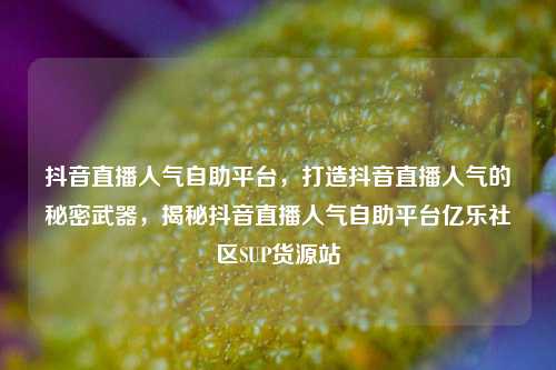 抖音直播人气自助平台，打造抖音直播人气的秘密武器，揭秘抖音直播人气自助平台亿乐社区SUP货源站  第1张