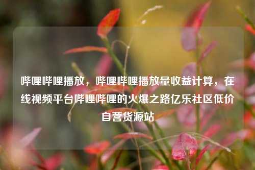哔哩哔哩播放	，哔哩哔哩播放量收益计算，在线视频平台哔哩哔哩的火爆之路亿乐社区低价自营货源站  第1张