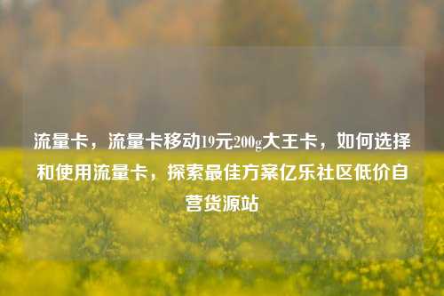 流量卡	，流量卡移动19元200g大王卡，如何选择和使用流量卡，探索最佳方案亿乐社区低价自营货源站  第1张