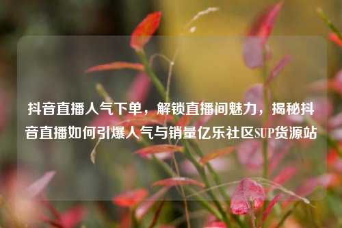 抖音直播人气下单，解锁直播间魅力，揭秘抖音直播如何引爆人气与销量亿乐社区SUP货源站  第1张