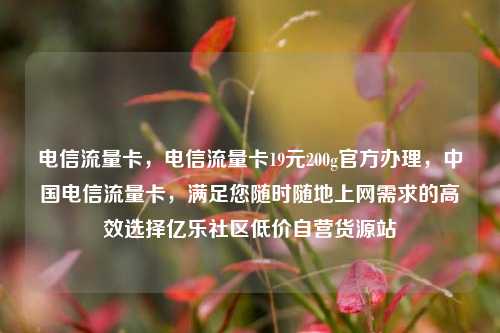 电信流量卡	，电信流量卡19元200g官方办理，中国电信流量卡，满足您随时随地上网需求的高效选择亿乐社区低价自营货源站  第1张