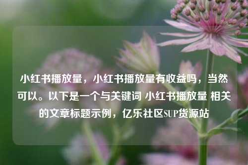 小红书播放量，小红书播放量有收益吗，当然可以。以下是一个与关键词 小红书播放量 相关的文章标题示例	，亿乐社区SUP货源站  第1张