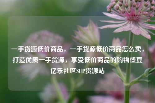 一手货源低价商品，一手货源低价商品怎么卖	，打造优质一手货源，享受低价商品的购物盛宴亿乐社区SUP货源站  第1张