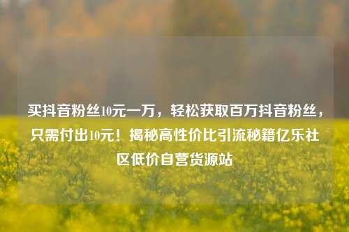 买抖音粉丝10元一万，轻松获取百万抖音粉丝，只需付出10元！揭秘高性价比引流秘籍亿乐社区低价自营货源站  第1张