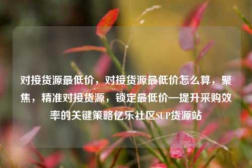对接货源最低价，对接货源最低价怎么算，聚焦	，精准对接货源，锁定最低价—提升采购效率的关键策略亿乐社区SUP货源站  第1张