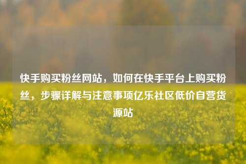 快手购买粉丝网站	，如何在快手平台上购买粉丝，步骤详解与注意事项亿乐社区低价自营货源站  第1张