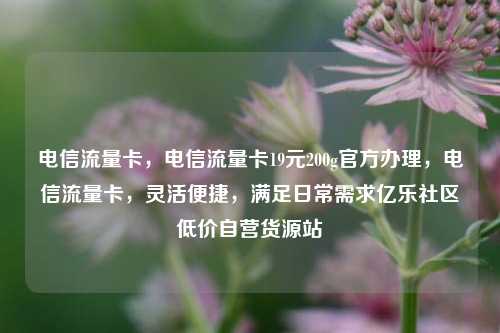 电信流量卡，电信流量卡19元200g官方办理	，电信流量卡，灵活便捷，满足日常需求亿乐社区低价自营货源站  第1张