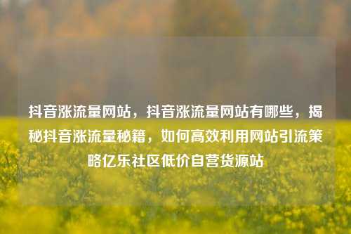 抖音涨流量网站，抖音涨流量网站有哪些，揭秘抖音涨流量秘籍	，如何高效利用网站引流策略亿乐社区低价自营货源站  第1张