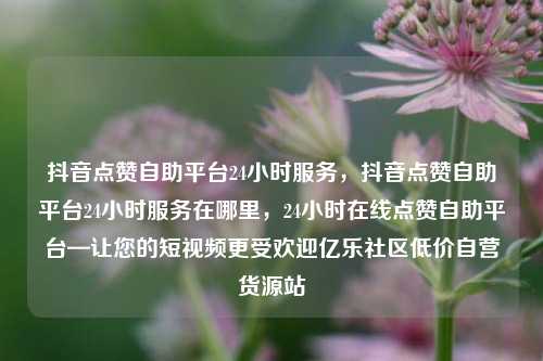 抖音点赞自助平台24小时服务	，抖音点赞自助平台24小时服务在哪里，24小时在线点赞自助平台—让您的短视频更受欢迎亿乐社区低价自营货源站  第1张