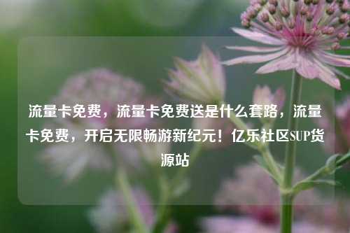 流量卡免费	，流量卡免费送是什么套路，流量卡免费，开启无限畅游新纪元！亿乐社区SUP货源站  第1张
