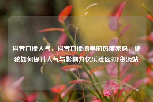 抖音直播人气，抖音直播间里的热度密码，揭秘如何提升人气与影响力亿乐社区SUP货源站  第1张