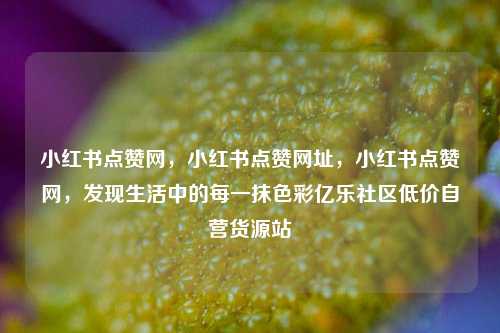 小红书点赞网，小红书点赞网址，小红书点赞网	，发现生活中的每一抹色彩亿乐社区低价自营货源站  第1张
