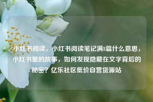 小红书阅读	，小红书阅读笔记满8篇什么意思，小红书里的故事，如何发现隐藏在文字背后的秘密？亿乐社区低价自营货源站  第1张